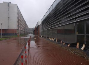 Gliwice przygotowują plan adaptacji do zmian klimatu