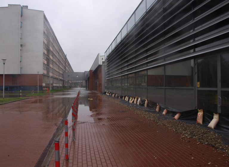 Gliwice przygotowują plan adaptacji do zmian klimatu