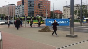 Po Poznaniu spacerował słoń? Nowa kampania społeczna
