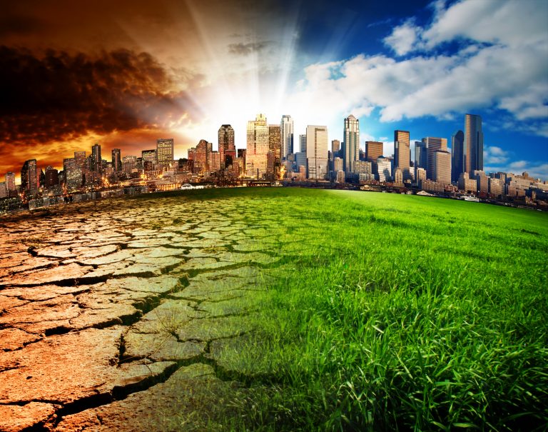 Jak skutecznie przygotować się do zaadaptowania zmian klimatu?