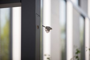 W Poznaniu powstały latarnie z wbudowanymi budkami dla ptaków