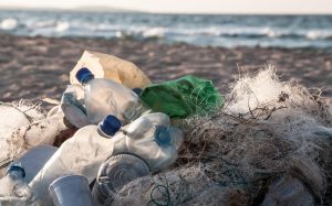 Plastik zanieczyszcza Galapagos