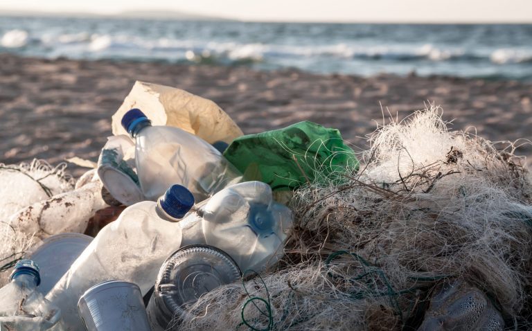 Przez plastik w morzach giną miliony zwierząt - ostrzega WWF