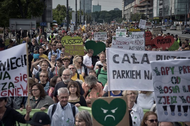 Ekolodzy protestowali przeciwko wycince Puszczy Białowieskiej
