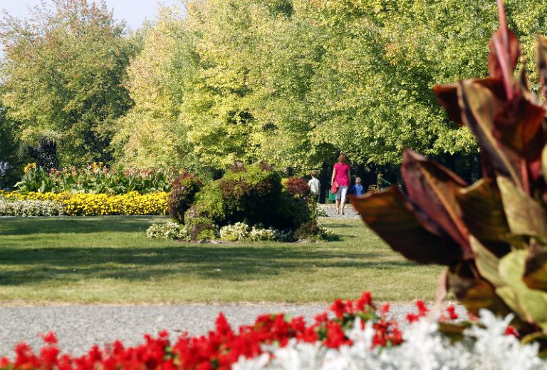 Śląscy naukowcy pomogą unowocześnić największy miejski park w Polsce