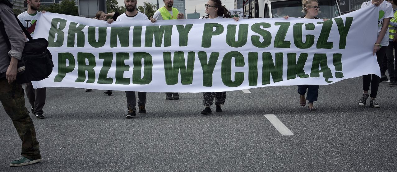 Protest ekologów przeciwko wycince Puszczy Białowieskiej