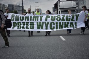 Wyrok ws. Puszczy Białowieskiej to gorzka lekcja dla ministra środowiska - mówią ekolodzy