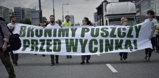 Protest ekologów przeciwko wycince Puszczy Białowieskiej