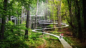 W Stambule powstanie nowy park