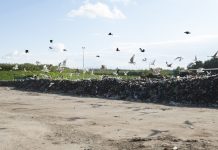 1 mln zł kary za złe składowanie odpadów. Zakład odwołuje się od decyzji Zakład Utylizacyjny w Gdańsku Szadółkach