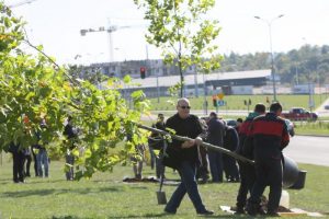 Gdańszczanie sadzą drzewa za pomocą aplikacji