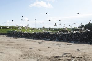 1 mln zł kary za złe składowanie odpadów. Zakład odwołuje się od decyzji
