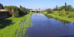 Olej napędowy w poznańskiej Cybinie. Strażacy całą noc oczyszczali rzekę