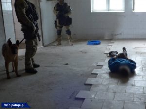 Polacy kradli panele fotowoltaiczne z Niemiec. Zatrzymano 56 osób
