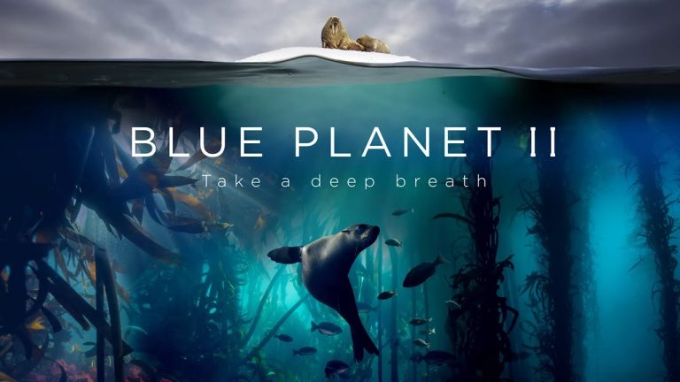 BBC przygotowuje nowy dokument o oceanach. Premiera 