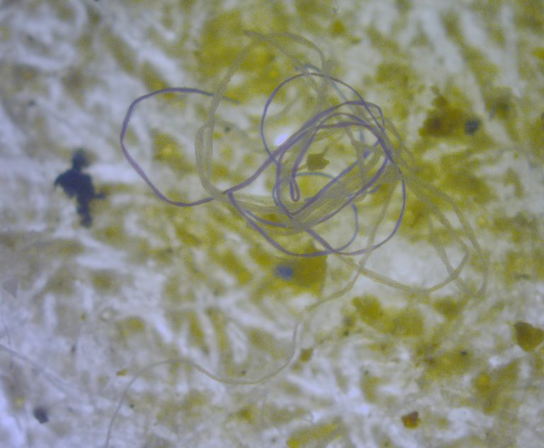 Mikroplastik w wodzie - czy jesteśmy bezbronni?