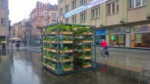 Lauba i plac na glanc w Katowicach