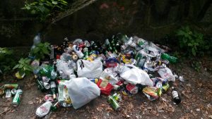 Szczecin: leśnicy usunęli ponad 100 ton odpadów
