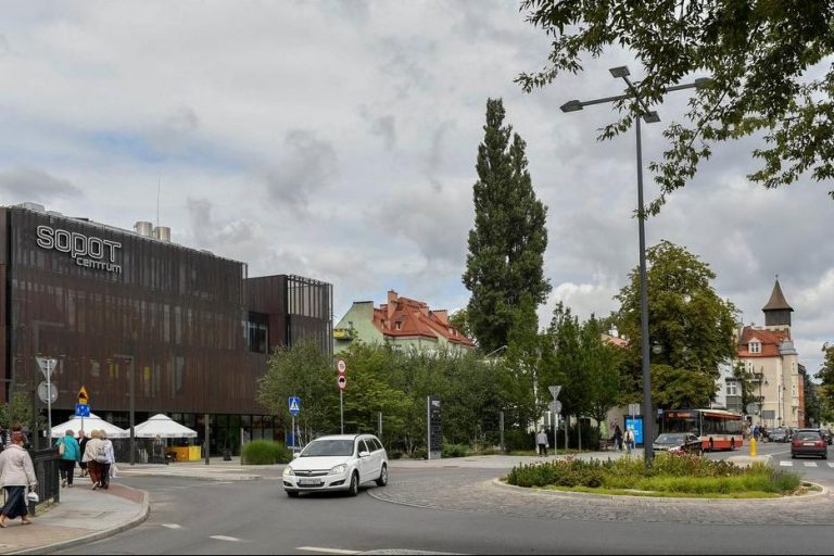 Ministerstwo chce wyciąć topolę w Sopocie. Miasto się nie zgadza