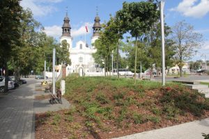 Mińsk Mazowiecki stawia na zieleń. Są nowe nasadzenia w centrum miasta