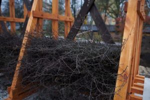 Łódź będzie miała 11 miejskich tężni