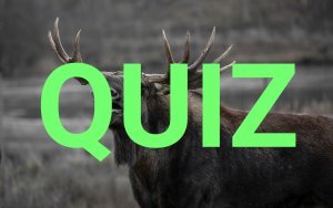 Znasz się na przyrodzie i środowisku? Sprawdź się w naszym Quizie Ekologicznym! [QUIZ]