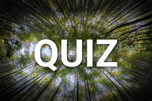 Quiz Ekologiczny. Czy jesteś gotowy, aby sprawdzić swoją wiedzę? [QUIZ]