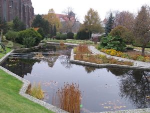 Ogród Botaniczny we Wrocławiu czynny również zimą