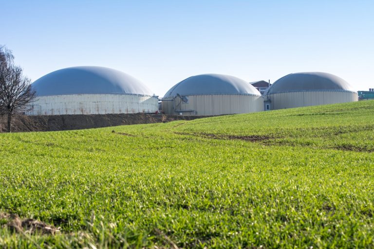 Bioenergia w rolnictwie elementem circular economy. Konferencja już wkrótce!