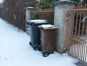 Poznań nie radzi sobie z segregacją bioodpadów