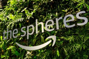 Amazon stworzył las deszczowy w biurowcu. W Seattle otwarto 