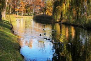 Park Miejski w małopolskim Miechowie będzie rewitalizowany