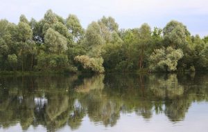 Większość rzek w Europie jest poniżej norm jakości