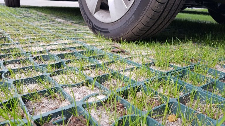 Zielone parkingi w Zielonej Górze