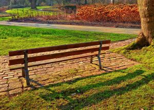 Miejski park w Rykach otrzyma 2,5 mln zł na rewitalizację