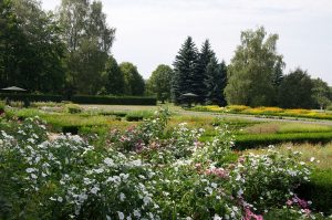 Łódź będzie miała miejskiego ogrodnika