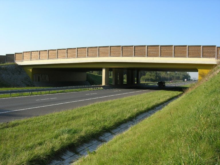 Drogowcy zaoszczędzą na zwierzętach? Ruszyły konsultacje w sprawie przejść