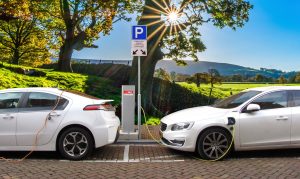 Lasy Państwowe kupują samochody elektryczne