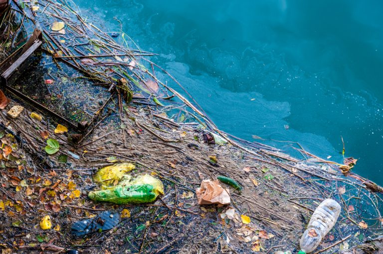 Francuz przepłynie Pacyfik, by zwrócić uwagę na zanieczyszczenie oceanu plastikiem