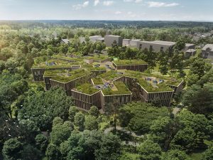 Lasy Czeskie budują nową siedzibę w... środku lasu