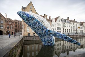 Nowojorscy architekci stworzyli wieloryba z plastikowych śmieci [WIDEO]