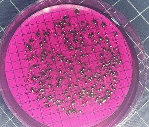Studnie przydomowe z bakteriami coli. Wykryto je dzięki Sądeckim Wodociągom