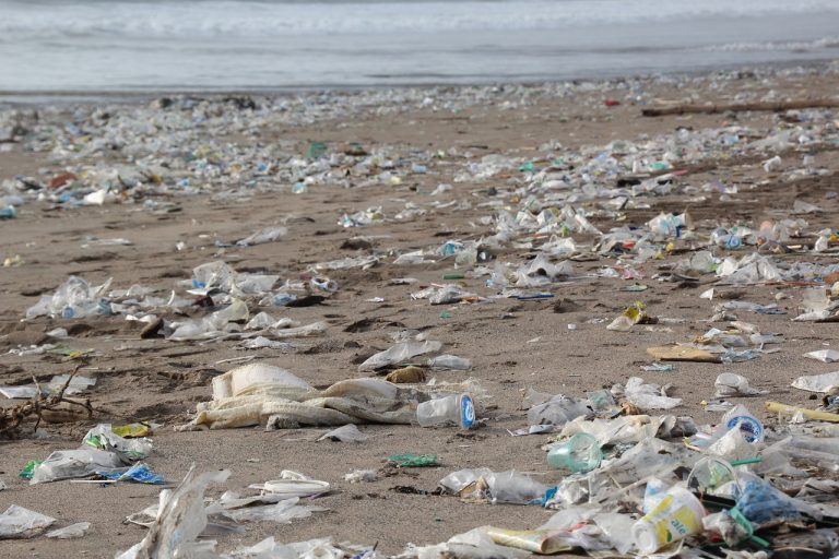 Wycofać plastikowe jednorazówki? Eksperci sceptyczni