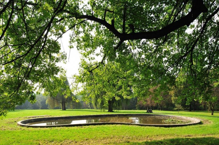 Trwa odnowa dwóch parków w Bytomiu