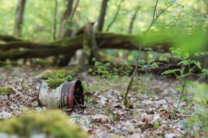 Do lasu wyrzucamy wszystko: zepsutą żywność, opony, gruz, a nawet dokumenty