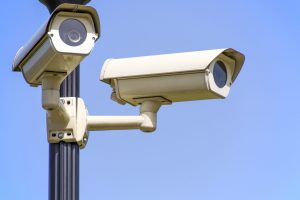 Fotopułapki złapią śmiecących w Łodzi