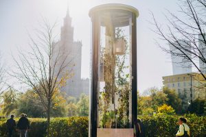 Na warszawskich ulicach zieleń rośnie w szkle