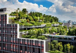 Singapur tworzy nowe rozwiązania dla seniorów pod zielonym dachem