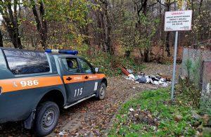 Fotopułapki na śmiecących. Straż miejska monitoruje nielegalne odpady