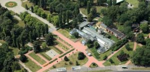 W Sosnowcu powstanie park bioróżnorodności
